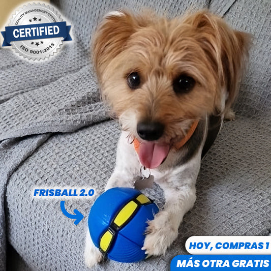 1 + 1 GRATIS | FRISBALL 2.0™ - El juguete más vendido para aliviar la ansiedad de los perritos (Le hace volver a su infancia).