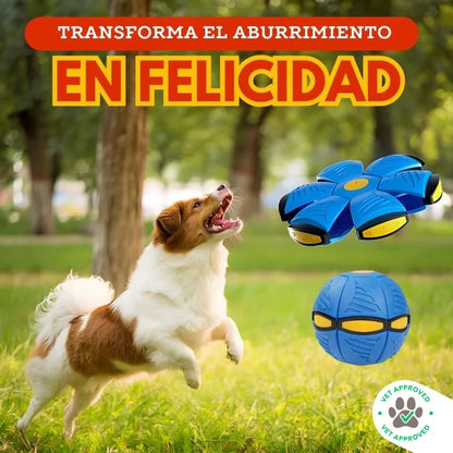 1 + 1 GRATIS | FRISBALL 2.0™ - La primera pelota que mantiene a tu perro activo para evitar que pase algo terrible por culpa de la temida obesidad mórbida
