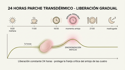 Timeline 24 horas de liberación gradual del parche con foco en las 4 de la tarde