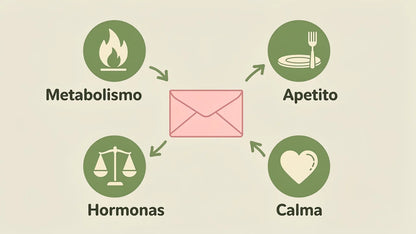 Diagrama de los cuatro frentes: metabolismo, apetito, hormonas y calma